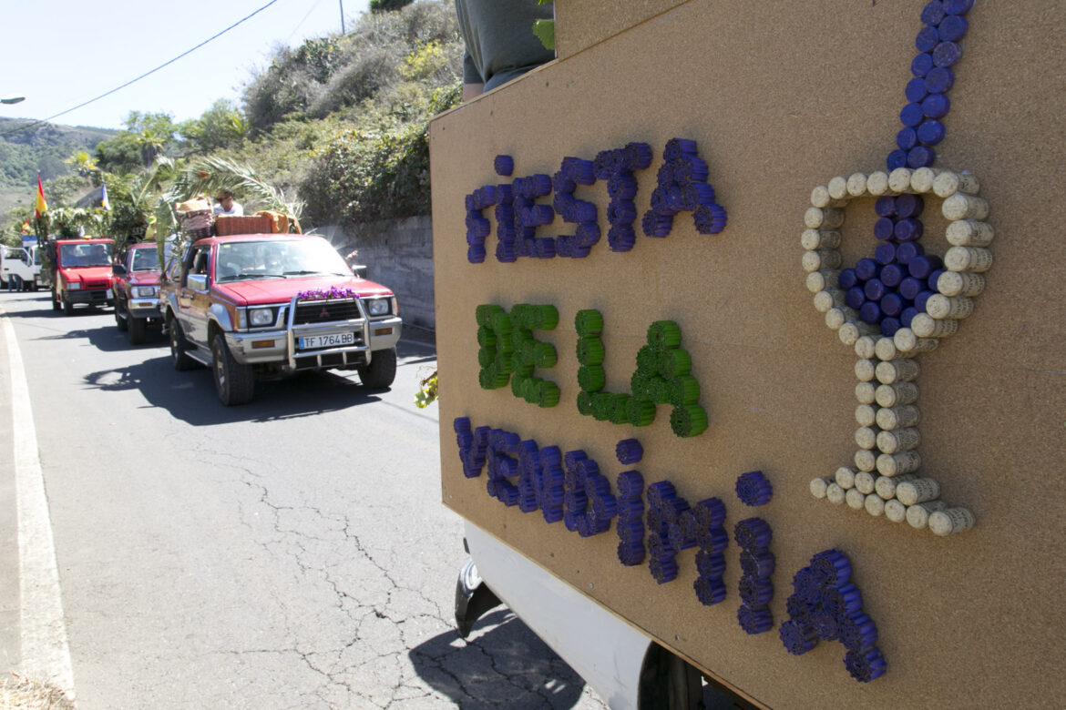 Fiesta vendimia Tegueste 16